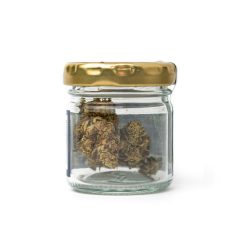 CBD CVET AMNESIA 1g 🌿