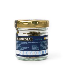 Alternative view of CBD CVET AMNESIA 1g 🌿