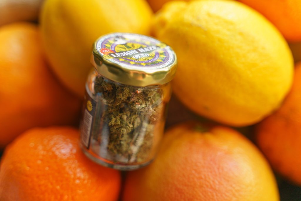 Razlike Između CBD Ulja i CBD Cvetova: Šta Odabrati? Zla zla Razlike Između CBD Ulja i CBD Cvetova: Šta Odabrati?