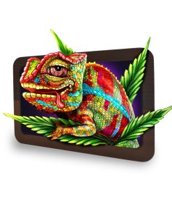 RAW x RJB TRAY SUMMER BEACH - MINI