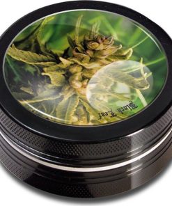 Bud2 leaf